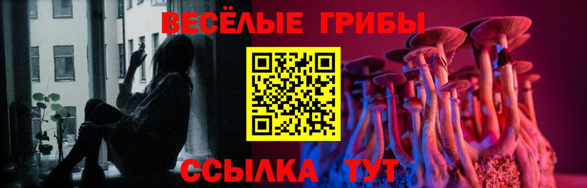 Псилоцибиновые грибы Magic Shrooms  Вход с VPN  Клин 